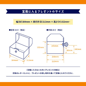 東具 ギフトゥール【宝箱】金銀財宝 Mサイズ(なぞときシート付) ｷﾞﾌﾄｳ-ﾙﾀｶﾗﾊﾞｺｻﾞｲﾎｳMﾅｿﾞﾄｷ-イメージ4