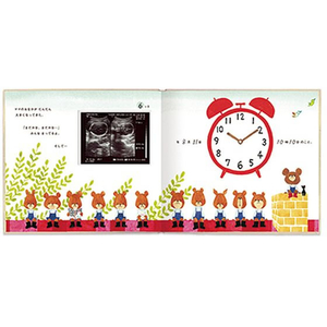 サンボンガワ/アルバム絵本 たんじょう物語 くまのがっこう FCD256G-KG01-イメージ5