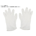 竹虎 タケトラ プラスチック手袋200パウダーフリー SS 200枚入 0 FC567VD-3569844