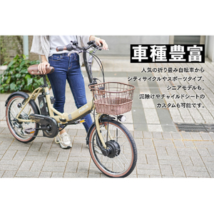 PELTECH 20型折り畳み電動アシスト自転車 外装6段 ブルー×ブラック TDN-208L-BL-8AH-イメージ4