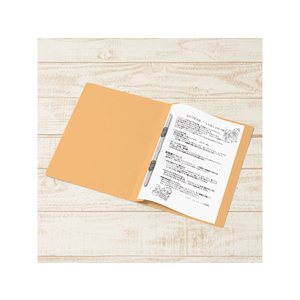プラス 年組氏名フラットファイル B5タテ イエロー 10冊 FCA6380-79-527 NO031GA-イメージ4