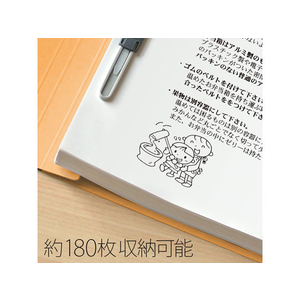 プラス 年組氏名フラットファイル B5タテ イエロー 10冊 FCA6380-79-527 NO031GA-イメージ5