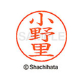 シヤチハタ ネームペン用ネーム シルバー 既製 小野 FC46363-X-GPS-0592