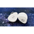 DARUMA AUDIO DAYSTAR DAYSTAR-イメージ6
