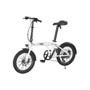 ERWAY ERWAY-A01-64-WT 20型折りたたみ電動アシスト自転車