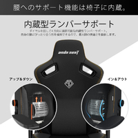Andaseat AD12YDC-L-01-B-CF ゲーミングチェア Kaiser 3 カーボン