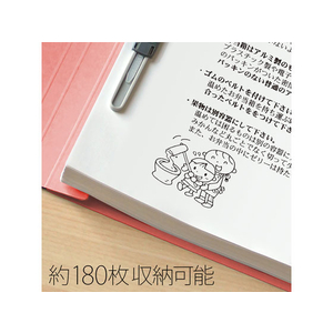 プラス 年組氏名フラットファイル B5タテ ピンク 10冊 FCA6381-79-528 NO031GA-イメージ5