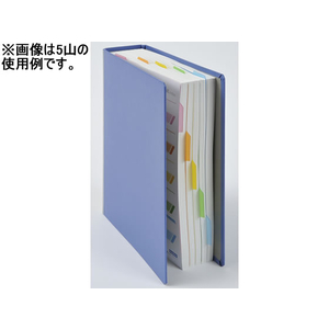 ビュートン ダブル・インデックス A4タテ 6山 2穴 1組 1冊 F892541-IDX-A4-6Y-イメージ2
