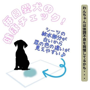 ペットアイ 速乾吸収 厚型ペットシーツ レギュラー 88枚入 FCE094N-イメージ3