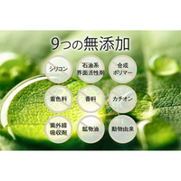 BELTA スカルプシャンプー 300ml 5本 BELTA BELTA-4573206310243 ベルタスカルプシャンプー(300ml