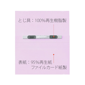 プラス 年組氏名フラットファイル A5タテ バイオレット 10冊 FCA6382-79-532 NO041GA-イメージ8