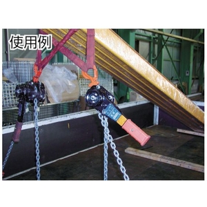 象印チェンブロック YA型チェーンレバーホイスト 3.2t 3.21.5420 FC323HM-3599418-イメージ2