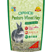 ハイペット パスチャーウィートヘイ 400g ﾊﾟｽﾁﾔ-ｳｲ-ﾄﾍｲ400G