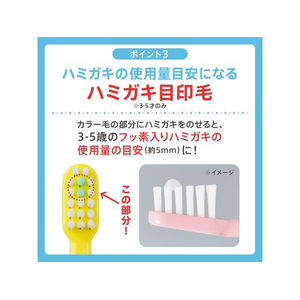 サンスター ソダテコ こどもハブラシ 6-12才用 1本 FCE357M-イメージ6