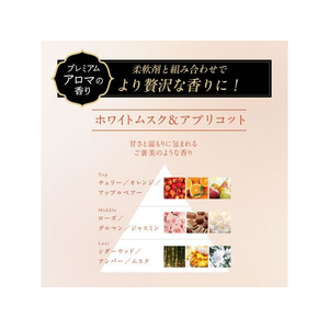 Ｐ＆Ｇ レノアオードリュクス ジュエルムスク 本体 470mL FCE429K-イメージ3