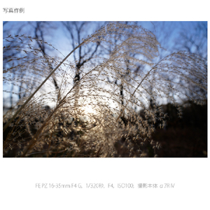 SONY デジタル一眼カメラα[Eマウント]用レンズ FE PZ 16-35mm F4 G SELP1635G-イメージ7