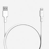 Lumina 美顔器 ホワイト USB充電ケーブル付き kireido_belulu-cable