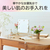 コイズミ ハリウッドミラー Muteki Mirror シルバー KBE-3171/S-イメージ8