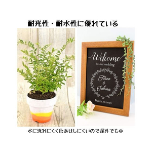 サクラクレパス ピグマックス細字 12色セット FC84337-ZPK-S12-イメージ5