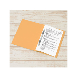 プラス 年組氏名フラットファイル A5タテ イエロー 10冊 FCA6385-79-537 NO041GA-イメージ4