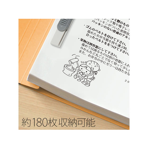 プラス 年組氏名フラットファイル A5タテ イエロー 10冊 FCA6385-79-537 NO041GA-イメージ5