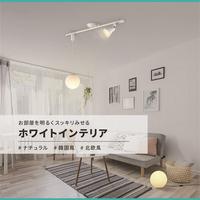 コイズミ 照明新生活セット ホワイト BX250814N