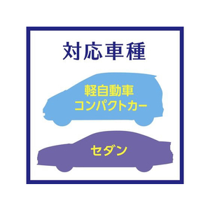 アース製薬 クルマのスッキーリ 車まるごと除菌・消臭 FCP4150-イメージ6