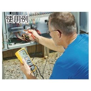 テクトロニクス＆フルークフルーク デジタル・マルチメーター付絶縁抵抗計(2レンジ) FC953JJ-7693176-イメージ2