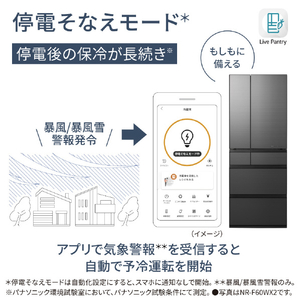 パナソニック 601L 6ドア冷蔵庫 ミスティスチールグレー NR-F60WX2-H-イメージ15