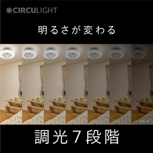 ドウシシャ ～6畳用 サーキュライト スイングモデル EZシリーズ EZシリーズ DCCSW06EC-イメージ10