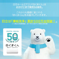 日立 RASWM28RE4WS 10畳 フィルター自動清掃 エアコン e angle select