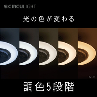 ドウシシャ DCCSW08EC ～8畳用 サーキュライト スイングモデル EZ