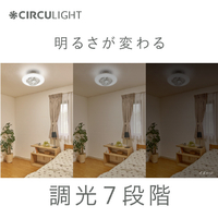 ドウシシャ DCCSW08EC ～8畳用 サーキュライト スイングモデル