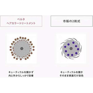 BELTA ヘアカラートリートメント(200g) ブラウン BELTA-4573206310311-イメージ4