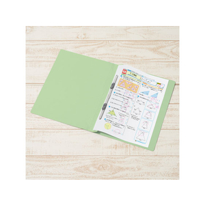 プラス ねんくみなまえフラットファイル A4タテ グリーン 10冊 FCA6389-79-586 NO021GAH-イメージ4