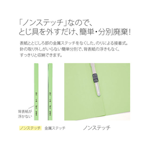 プラス ねんくみなまえフラットファイル A4タテ グリーン 10冊 FCA6389-79-586 NO021GAH-イメージ6