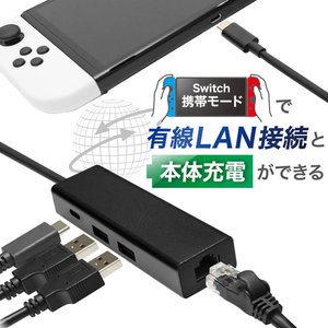 アンサー Switch用 有線LAN Wポート+チャージ ANSSW156-イメージ5