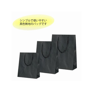 ヘイコー 手提げ紙袋 Kバッグ T-4 黒 10枚 FC284SE-006144202-イメージ2