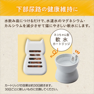 ジェックス ピュアクリスタル お皿にピタ!超ニャン水 30日 2個 FCJ920J-イメージ4