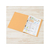 プラス ねんくみなまえフラットファイル A4タテ イエロー 10冊 FCA6390-79-587 NO021GAH-イメージ4