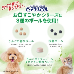 ジェックス ピュアクリスタル お皿にPON お口すこやか 30日用 FCJ921J-イメージ4