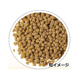 ペットアイ いつものごちそう 7歳以上用 乳酸菌 6.5kg FCU8804-イメージ4
