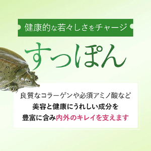 BELTA 女性らしさをサポートするベルタエクリズム BELTA-4573206310335-イメージ3