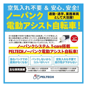 PELTECH ノーパンク 折り畳み電動アシスト自転車 20インチ 折り畳み外装6段変速 ネイビー TDN-206LN-NYB-8AH-イメージ2