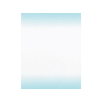 マイン 耐油 天紙 ぼかし 300枚入 M30-267 水色 FC368LT-6709700