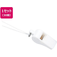 エバニュー プラ大エコー笛 白 30個 FC650SK-EKB216-90