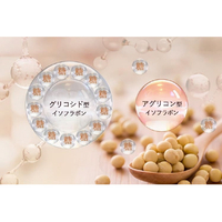 【追記あり】BELTA-ベルタ- ベルタプレリズム 15粒×18袋 公式】ベルタプレリズム｜妊活に必要な素材成分179種配合した葉酸