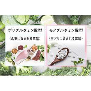 BELTA ベルタ  30代夫婦のための妊活サプリ 「ベルタプレリズム」 45粒 BELTA-4573206310359-イメージ4