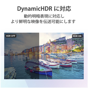 エレコム イーサネット対応ウルトラハイスピードHDMIケーブルスリム(1．0m) ブラック DH-HD21ES10BK-イメージ5