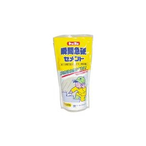 トーヨーマテラン MATERAN　SP瞬間急硬セメント（スタンドタイプ）　灰　0．5kg NO5147-イメージ1